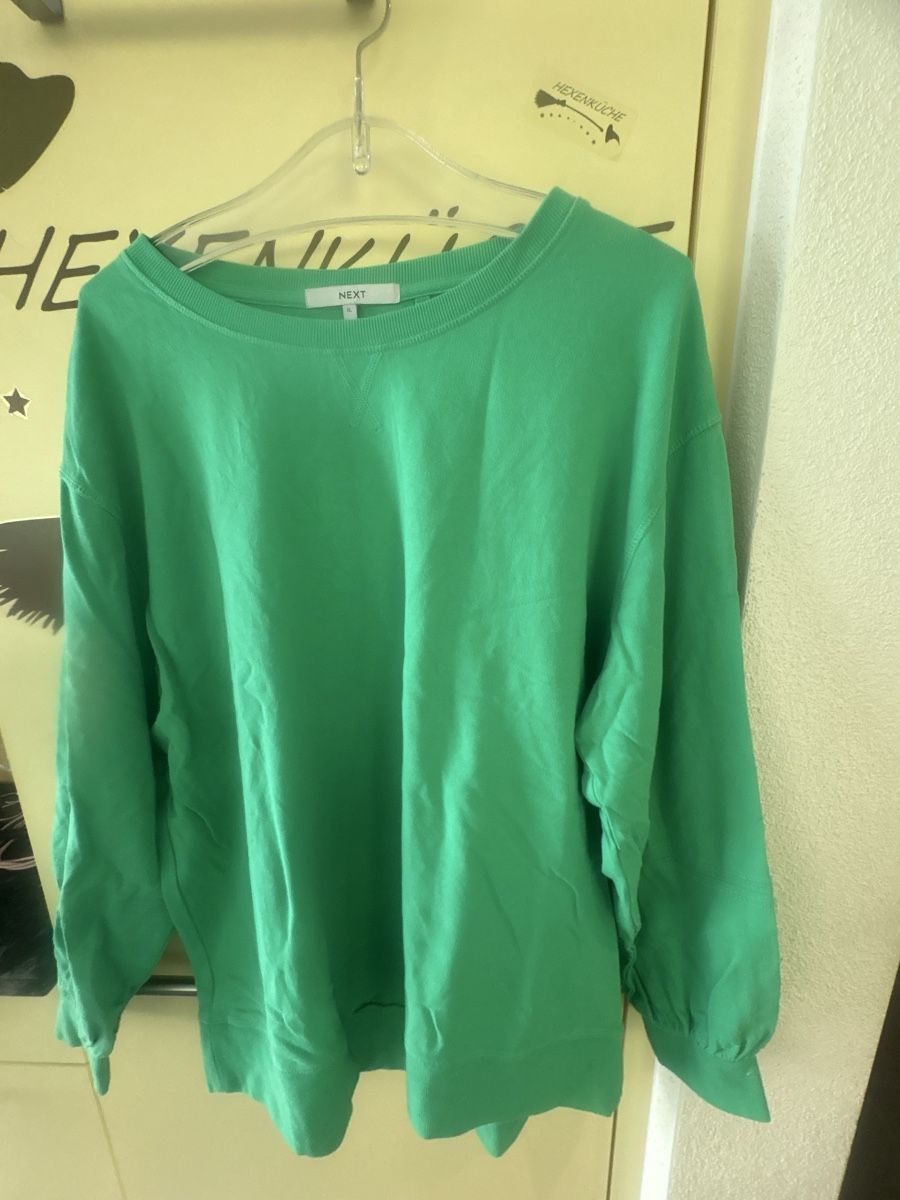 Next Maglioni & Felpe: Next Pullover 💫grün – Nuovo (secondo la descrizione) da Obbürgen venduto da bugi6868 1