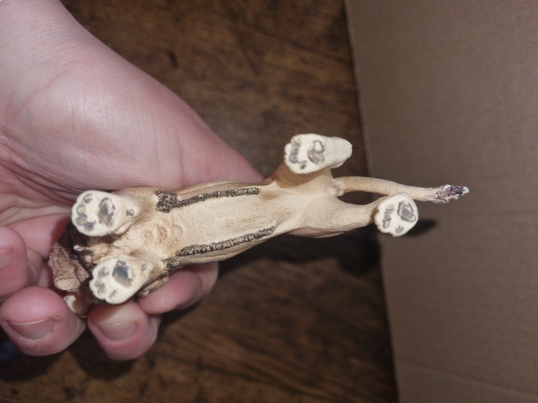 Schleich Spielzeuge: Lion schleich – Gebraucht aus Fribourg von  2