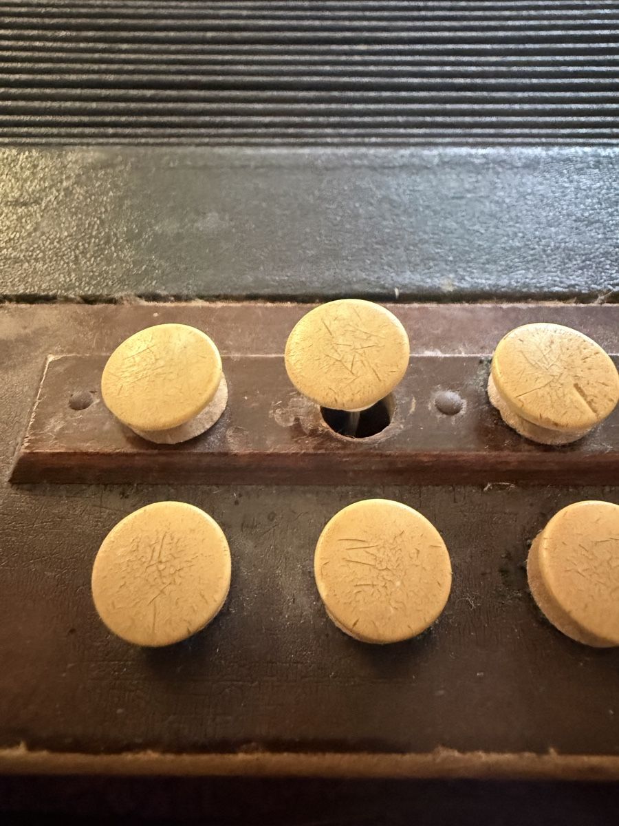 Strumenti musicali: Akkordeon / Handorgel Mascotte  – Usato da Lyss venduto da nekoreh 1