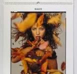 Pirelli Calendari: Pirelli Kalender 1995 – Nuovo (secondo la descrizione) da Riehen venduto da BMCLASSICS 4