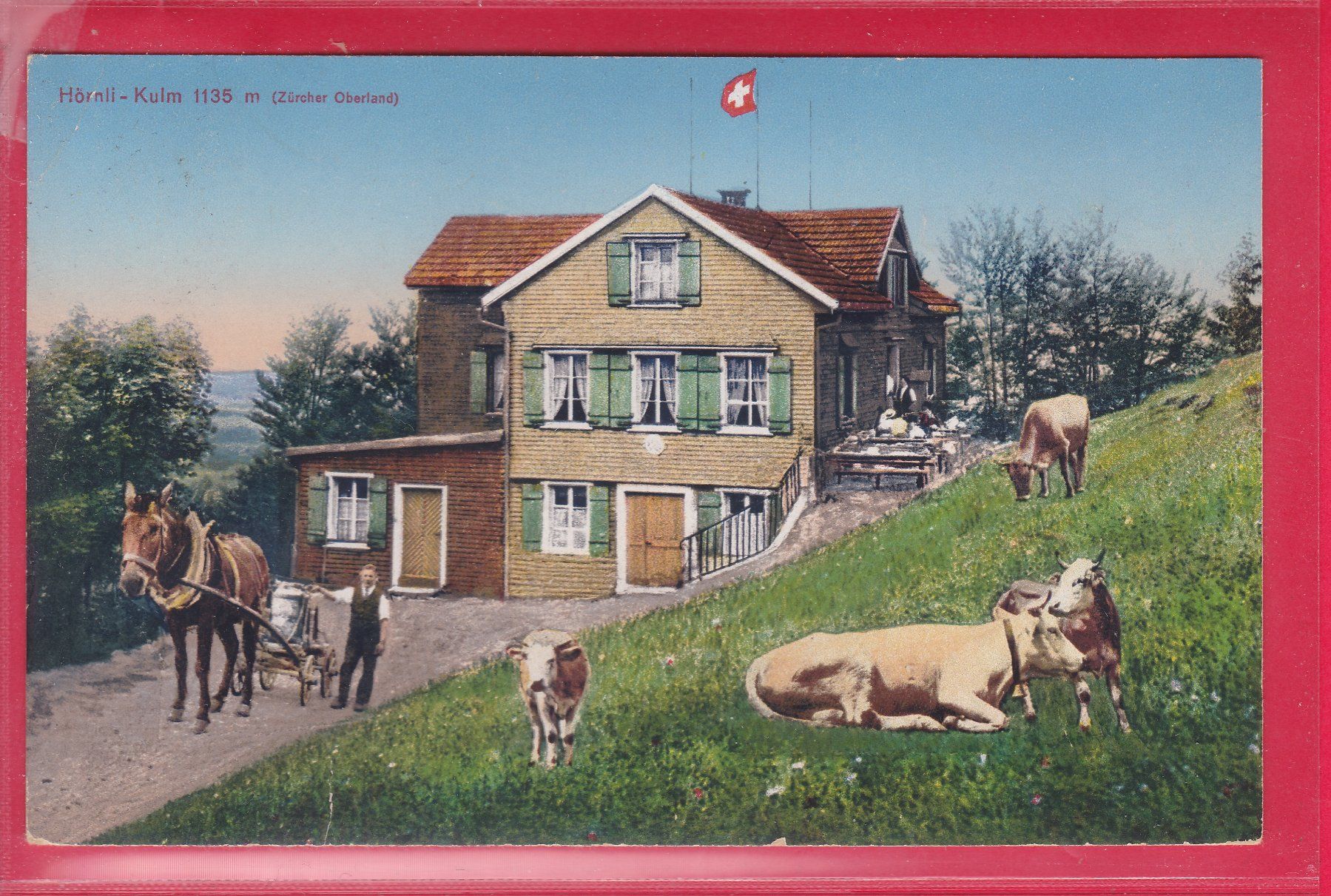 Ansichtskarten: HÖRNLI-KULM 1135m, 10.9.1921 – Gebraucht aus Oberrieden von Gebirgsstelze