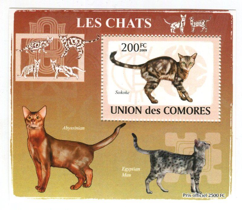 Tutti i francobolli: Block "Katzen". Komoren. – Nuovo e nell'imballaggio originale da Basel venduto da Butsch5