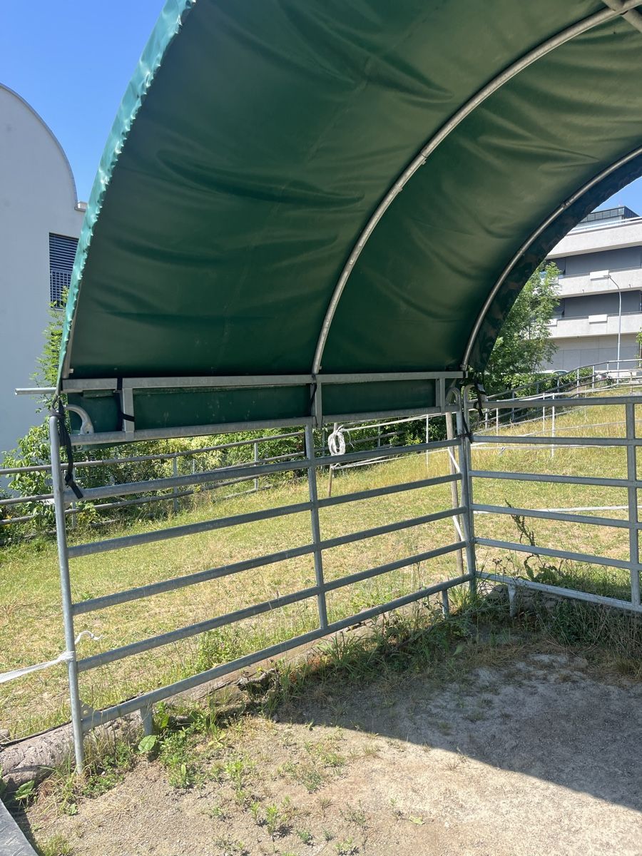 Abris: Pferdeunterstand Unterstand – D'occasion à Zürich par Bubballi 2