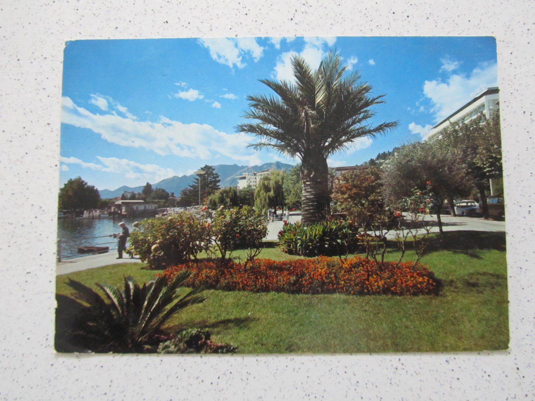Cartoline postali: Muralto Locarno, Lago Maggiore, Ansichtskarte 1972 – Usato da Weiningen ZH venduto da dietsch57