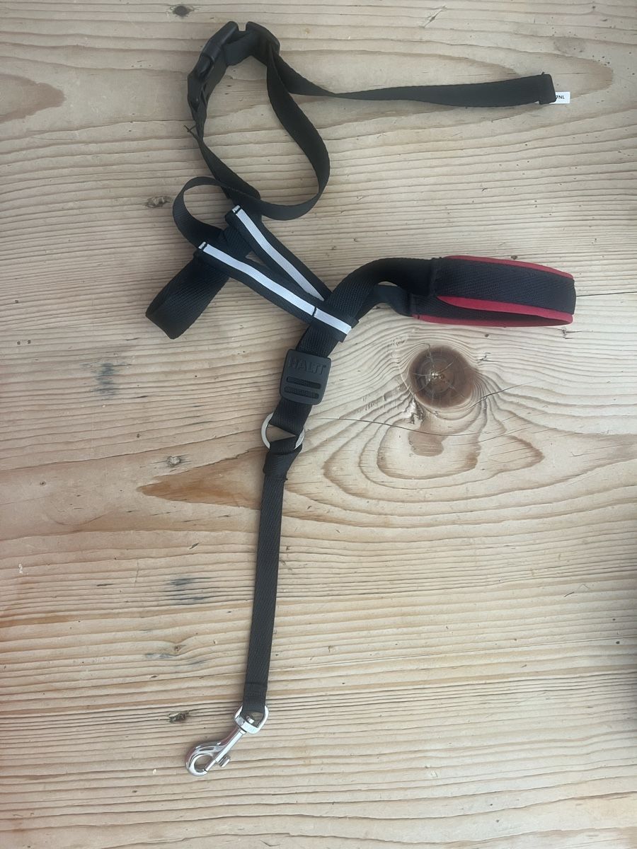 Leine & Halsband: Halti Optifit Headcollar L Black new – Neu (gemäss Beschreibung) aus Aarau von kailing12 1