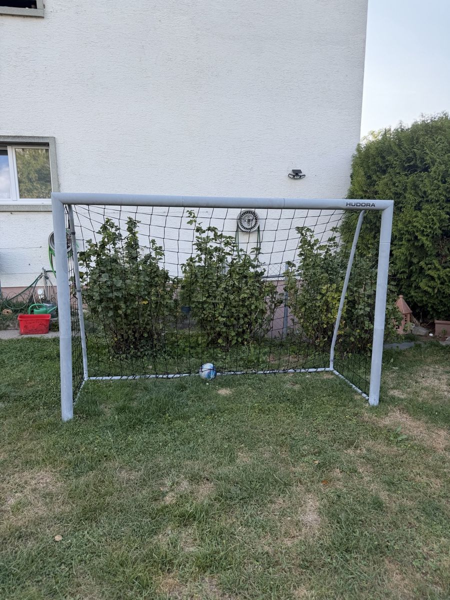 Porte da calcio e da hockey: Fussball Tor – Usato da Birmensdorf ZH venduto da natascha.6k