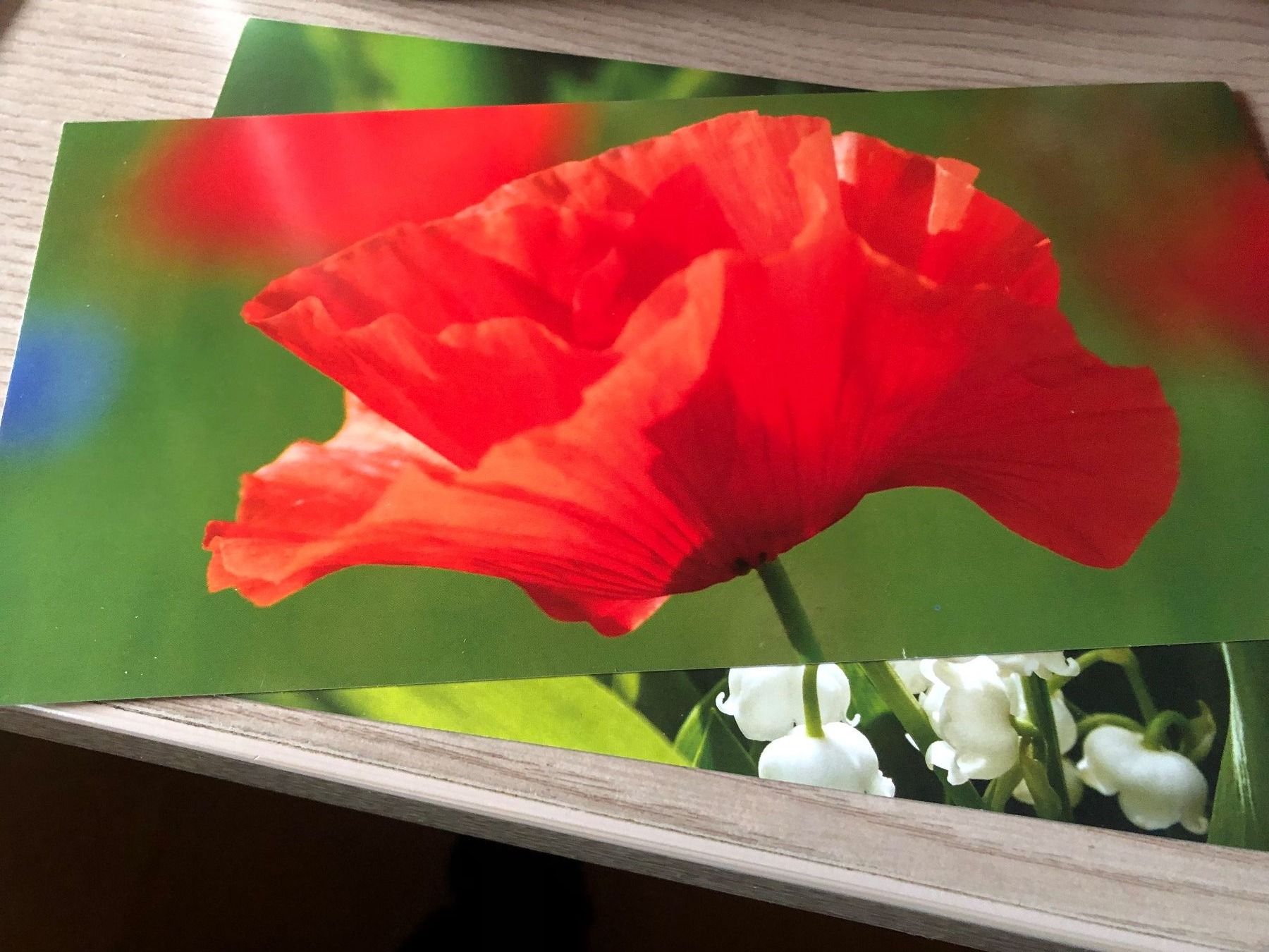 Cartoline: 12 Blumen - Karten teils mit Couverts – Usato da Rickenbach ZH venduto da Topas014 3