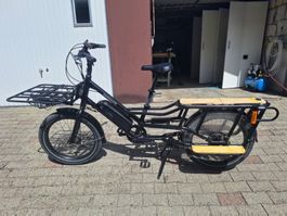 Rad Power Bikes RadWagon 4 E-Lastenvelo + Caboose + Kryptoni