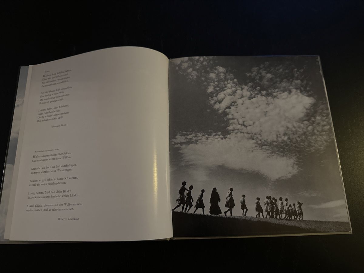 Libri: WOLKEN – Usato da Erstfeld venduto da Mario_boe0 2