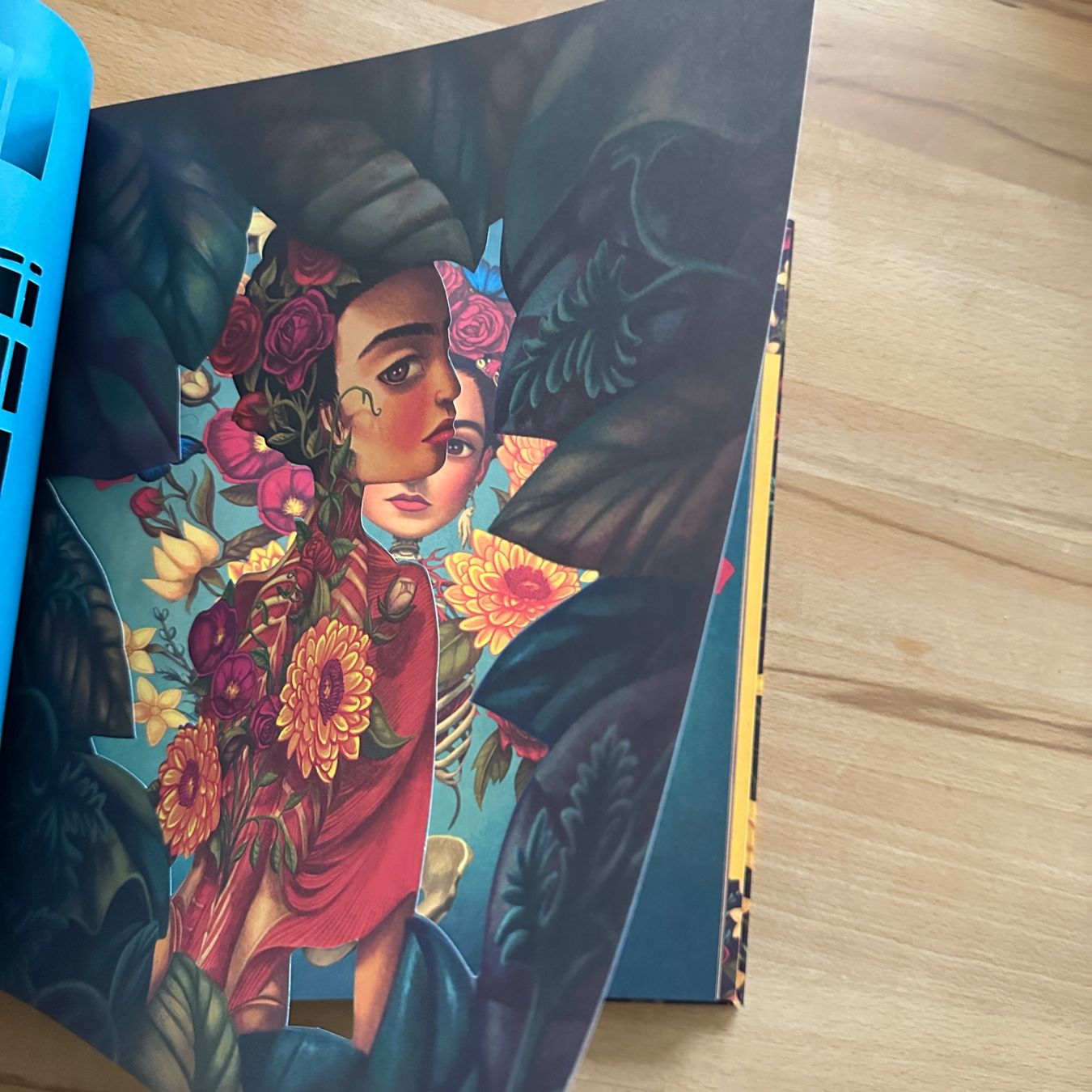 Libri: FRIDA - Benjamin Lacombe, Sébastien Perez – Nuovo (secondo la descrizione) da Sax venduto da kaulquappe01 3