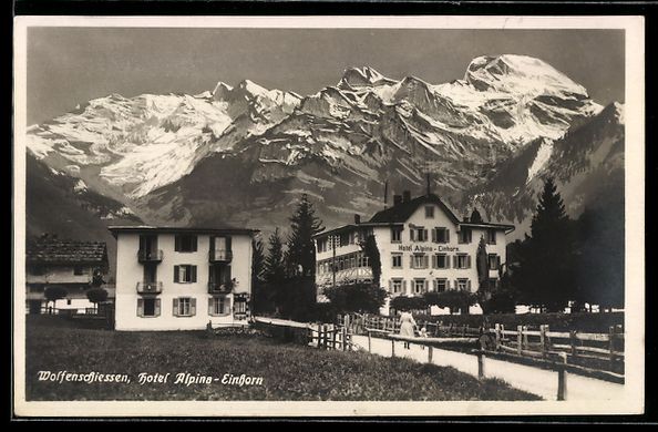 Cartoline postali: Wolfenschiessen, Hotel Alpina, Einhorn – Usato da Berlin venduto da bartko-reher