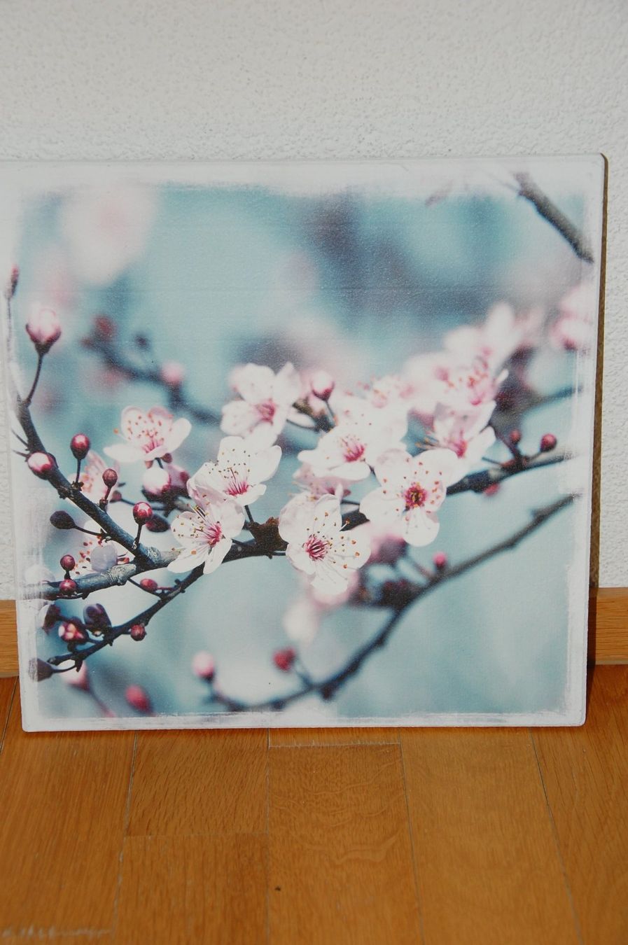 Foto & Immagini: Bild Kirschblüten ca. 30x30cm – Usato da Langenthal venduto da blueskye01