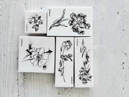 LaBlanche Stempelset offene Rosen – 5-teilig