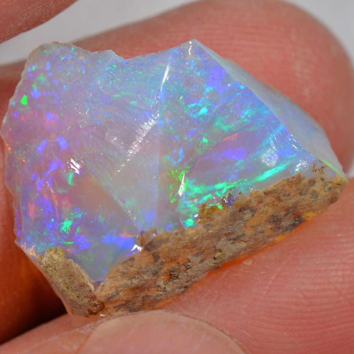 Pietre preziose: 16 Karat - Roher Äthiopischer Welo Opal – Nuovo (secondo la descrizione) da Rüti ZH venduto da DeinOpal 2