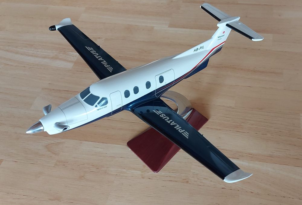 Pilatus PC12 Kaufen auf Ricardo