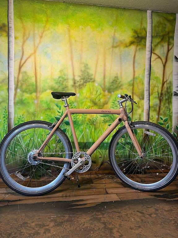 Velos: OLEYVO E-Bike – Gebraucht aus Rüti ZH von wetzikon59