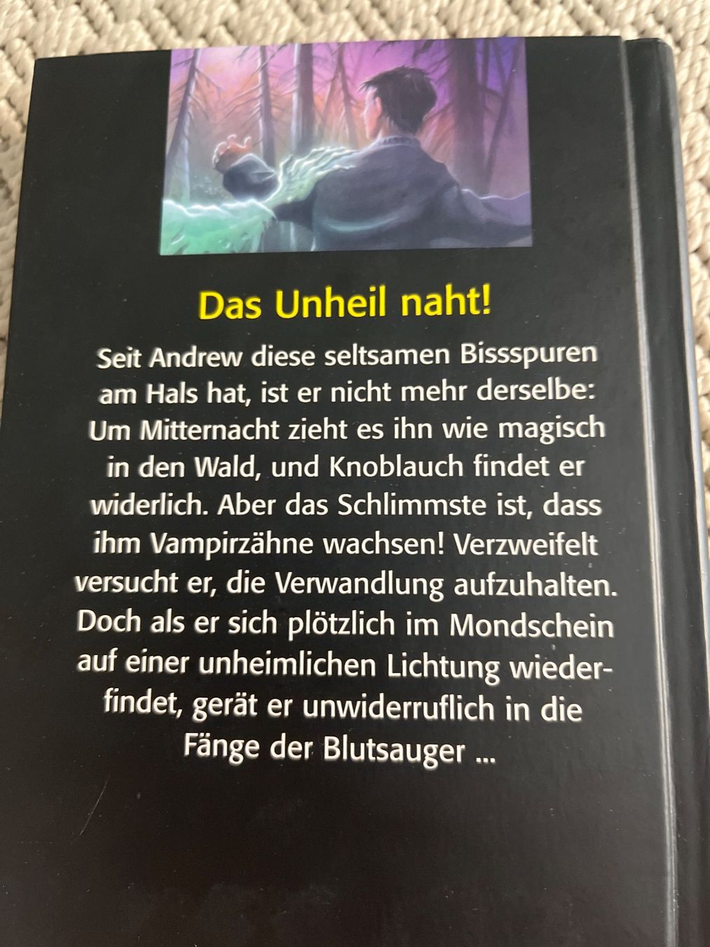 Libri: Fear Street, 1 Doppelband, 3 Einzelbücher – Usato da Solothurn venduto da Bobesch08 6