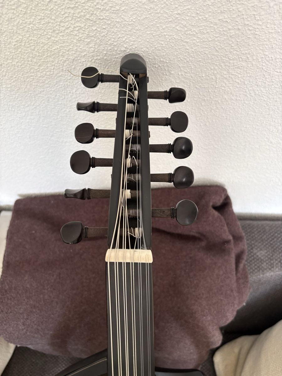 Musikinstrumente: Sultan Arabic Electric Oud – Gebraucht aus Zürich von bluesrockgear 1