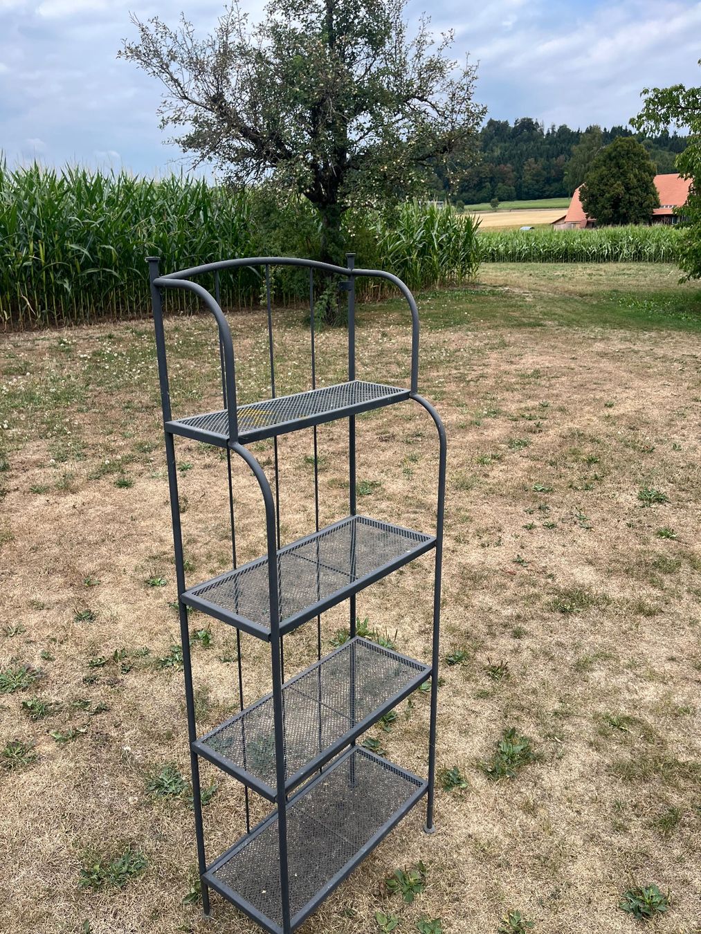 Scaffali: Blumen Regal Metall – Usato da Allmendingen b. BE venduto da juair 1