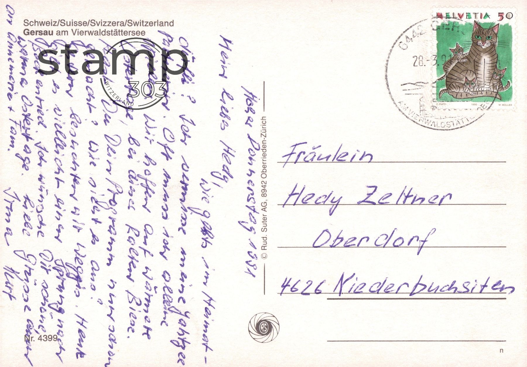 Cartoline postali: 1991 AK Gersau am Vierwaldstättersee – Usato da Eggersriet venduto da stamp303 1