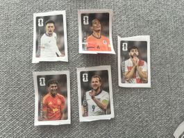 Coca Cola WM Panini Bilder