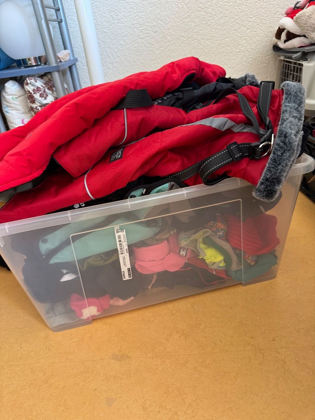 Abbigliamento: diverse Hundemäntel – Usato da Rombach venduto da Juspola