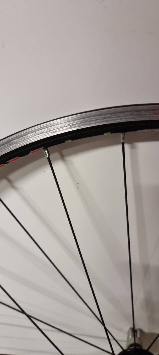 Ritchey Pezzi di ricambio: Ritchey WCS Vorderrad – Usato da Seon venduto da Stibinio 4