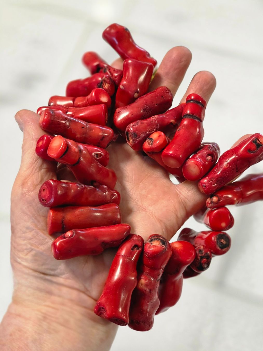 Ketten: Korallenkette rot ungeschliffen – Neu (gemäss Beschreibung) aus Zürich von Bieter04 7