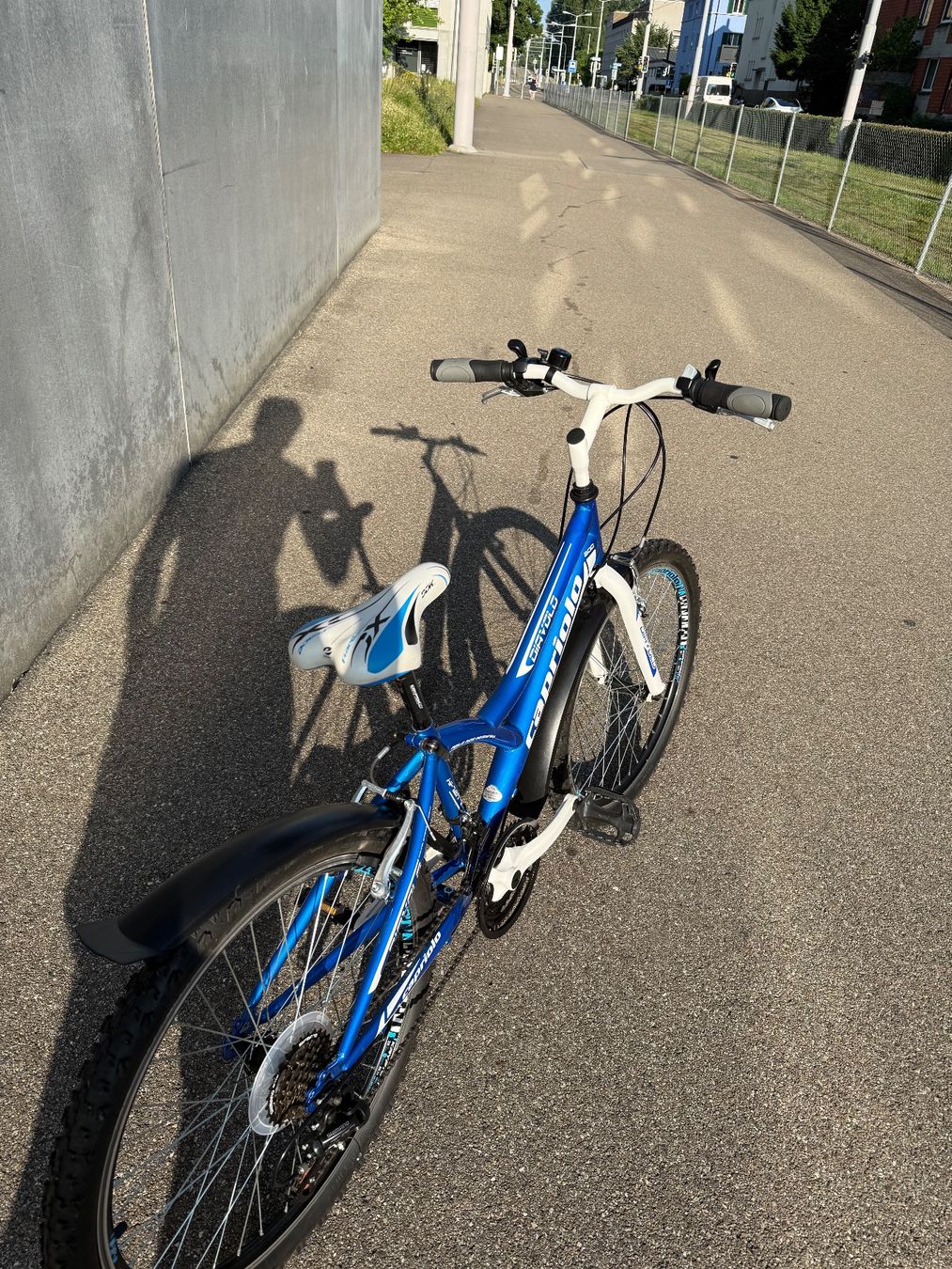 Velos: Capriolo DIAVOLO Velo – Gebraucht aus Zürich von Stutzv 1