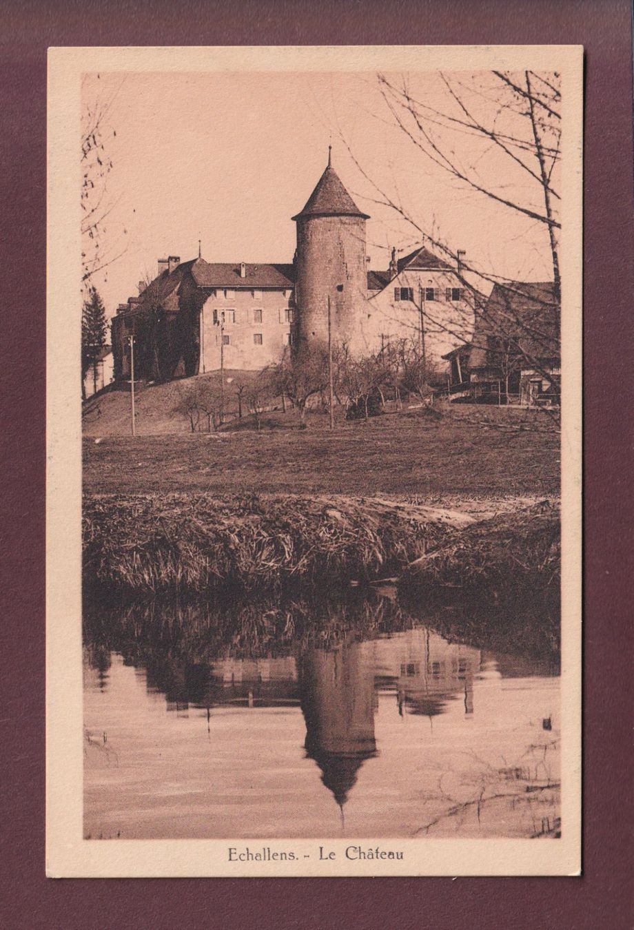 Cartoline postali: ECHALLENS - Le Château – Usato da Pully venduto da nicecards