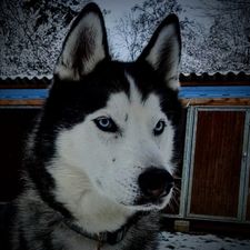 Profile image of Marek0389