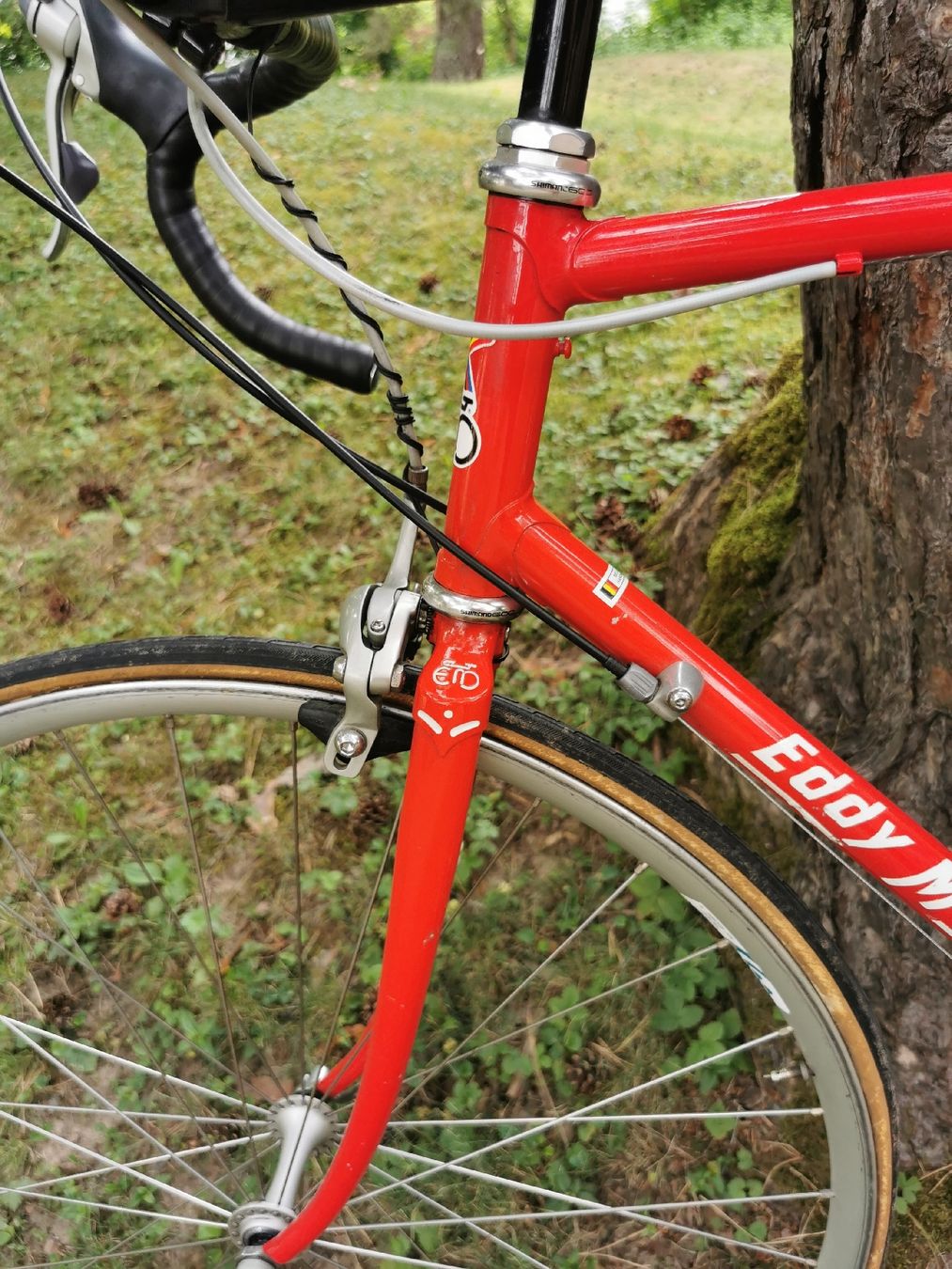 Velos: Eddy Merckx Rennvelo – Gebraucht aus Schwerzenbach von rao_m26t 4