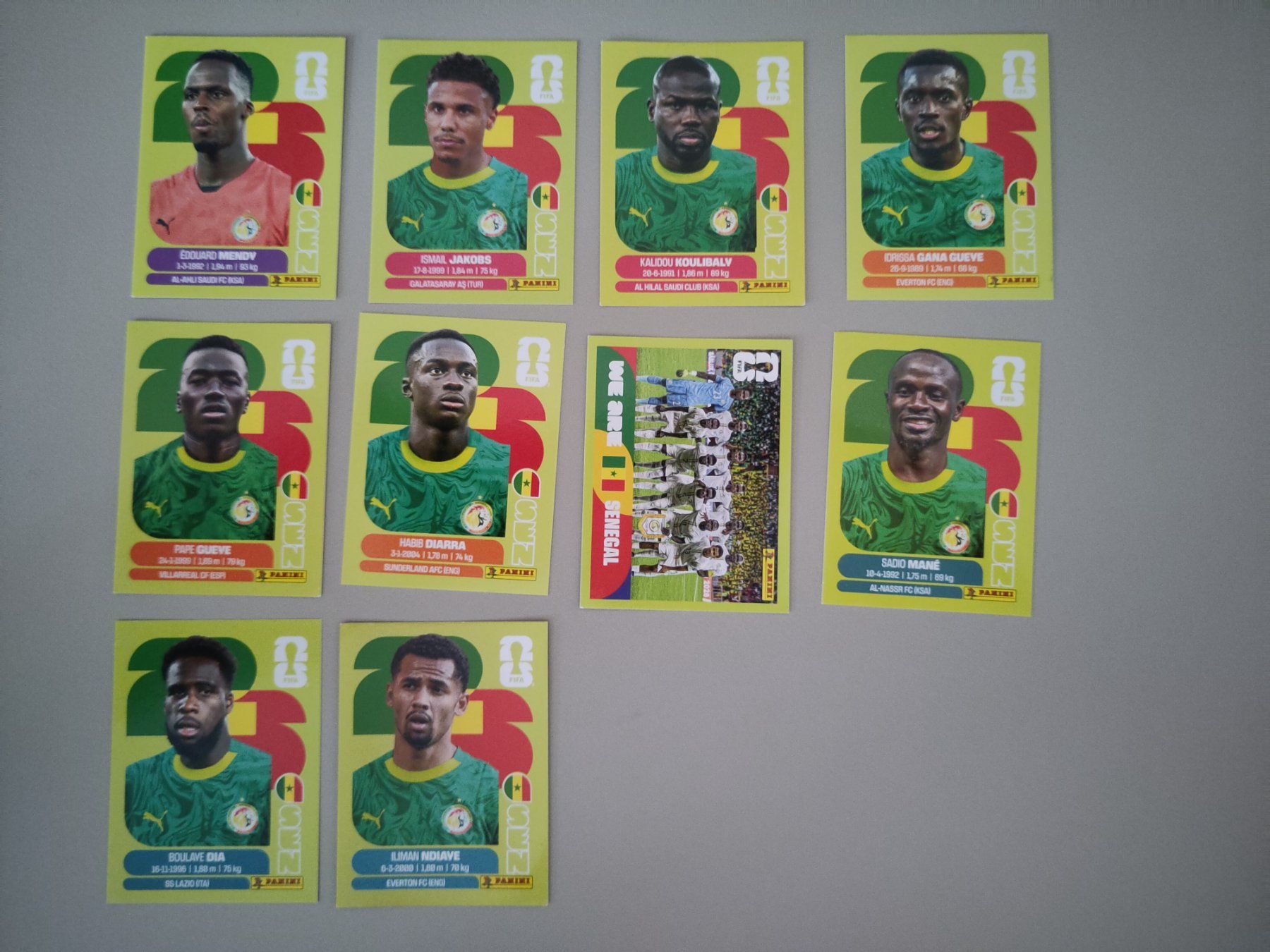 Panini Carte collezionabili: FIFA Panini Senegal (SEN) - Sadio Mané – Usato da Bern venduto da gil_rkx8