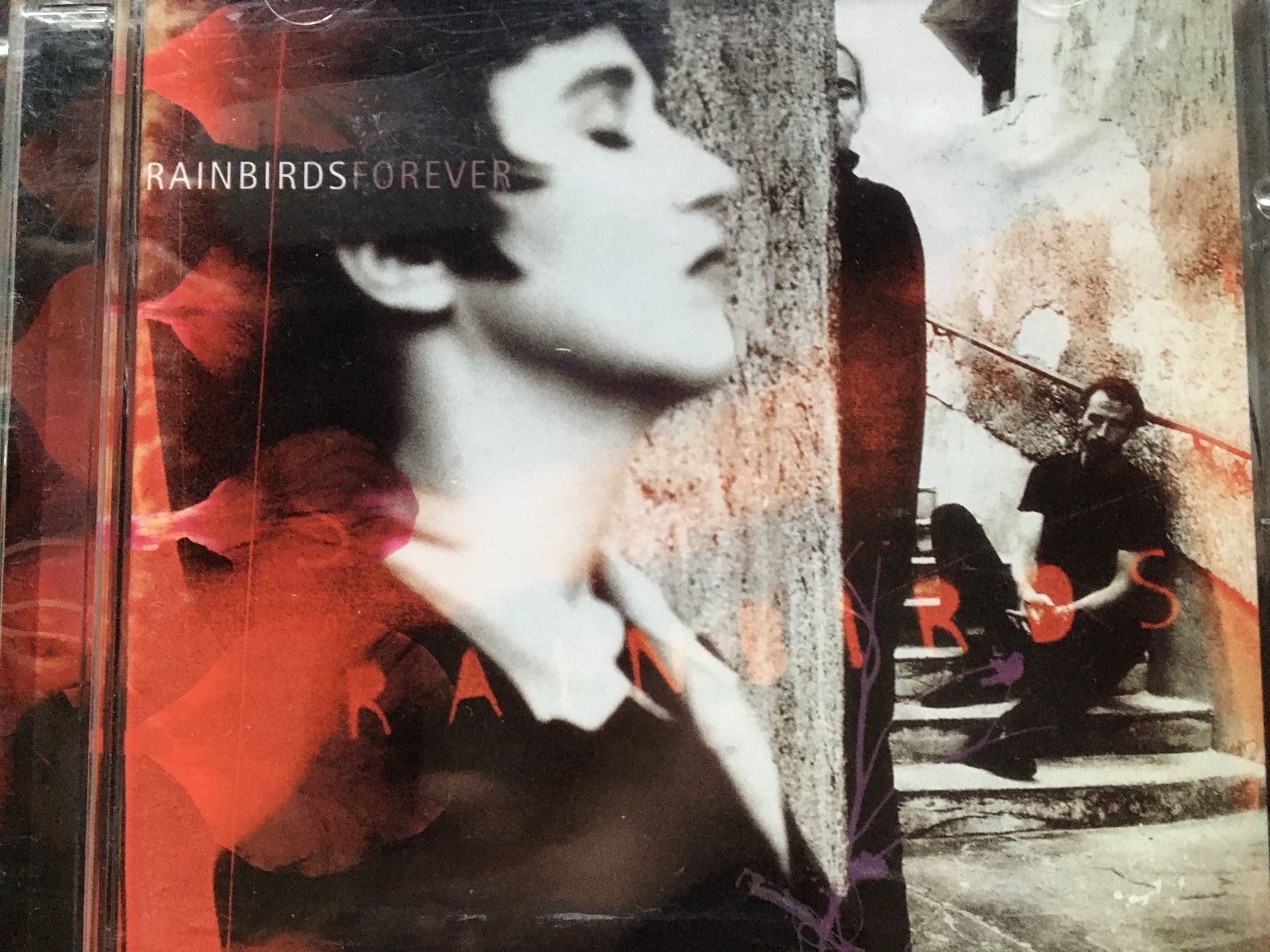CDs: Rain Birds – D'occasion à Arth par Vrecam51