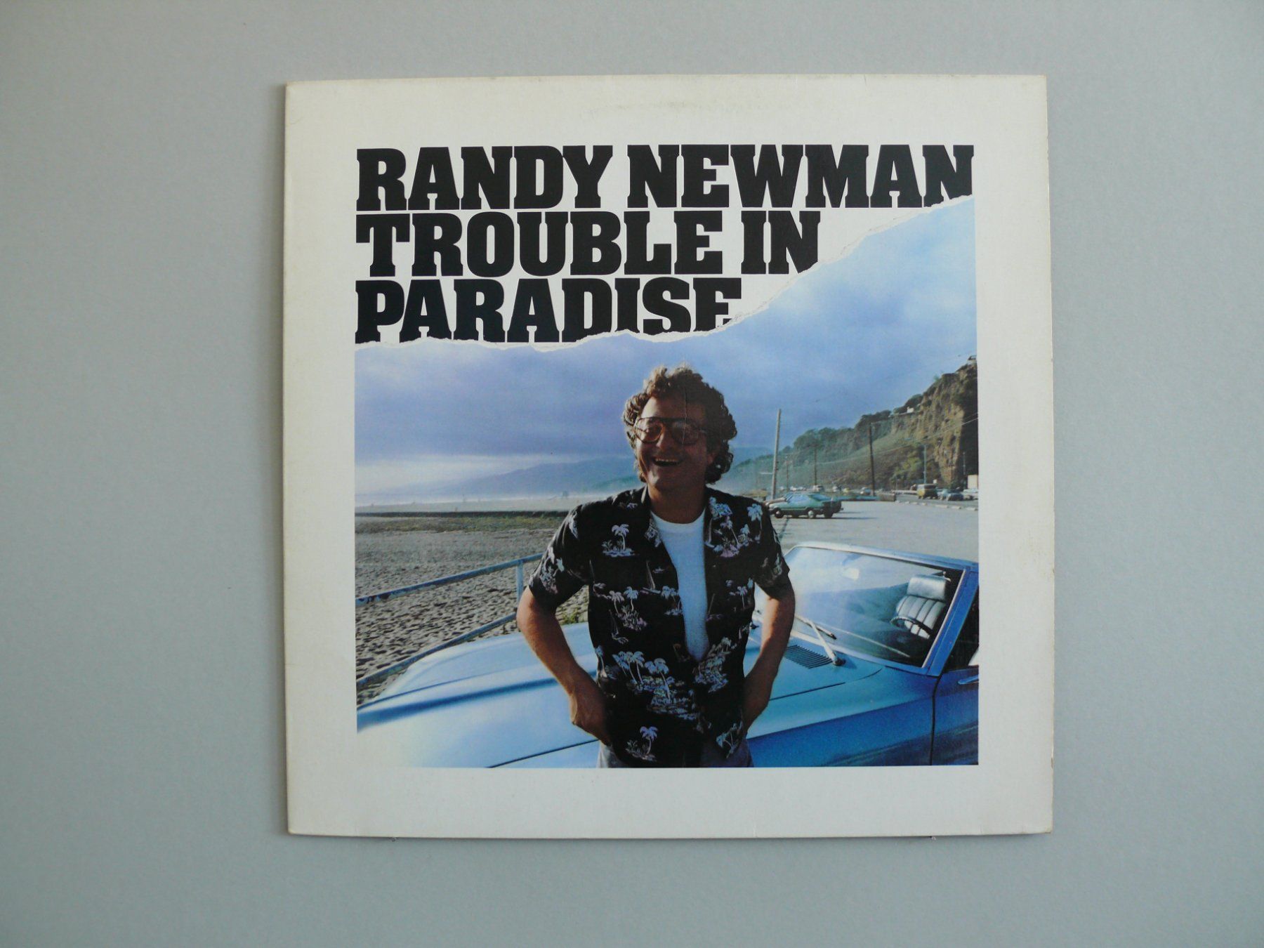 Dischi in vinile: Randy Newman / Trouble in Paradise – Usato da Scherzingen venduto da packtesan