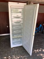 Miele Gefrierschrank No-Frost FN 12821 S mit 261 Liter