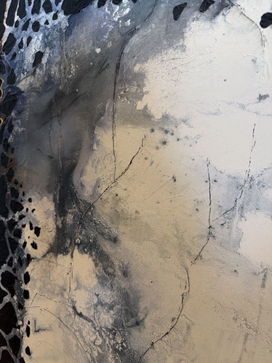 Dipinti: Acryl auf Leinwand 100x120m – Usato da Watt venduto da DST78 4