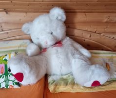 Grosser, kuscheliger Teddybär sucht neues Zuhause!