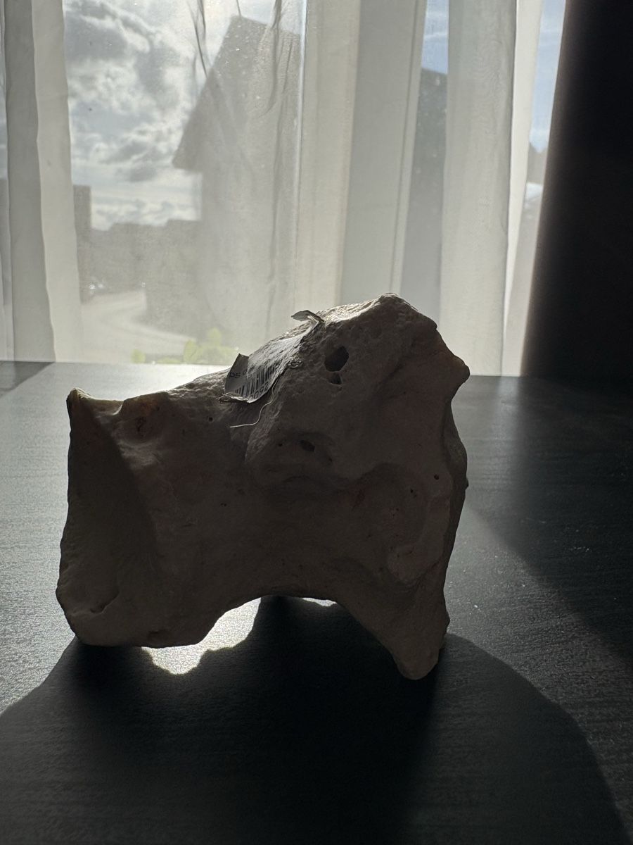 Minerali & Pietre curative: Aquarium Stein Deko  – Usato da Koblenz venduto da l-rocca 5