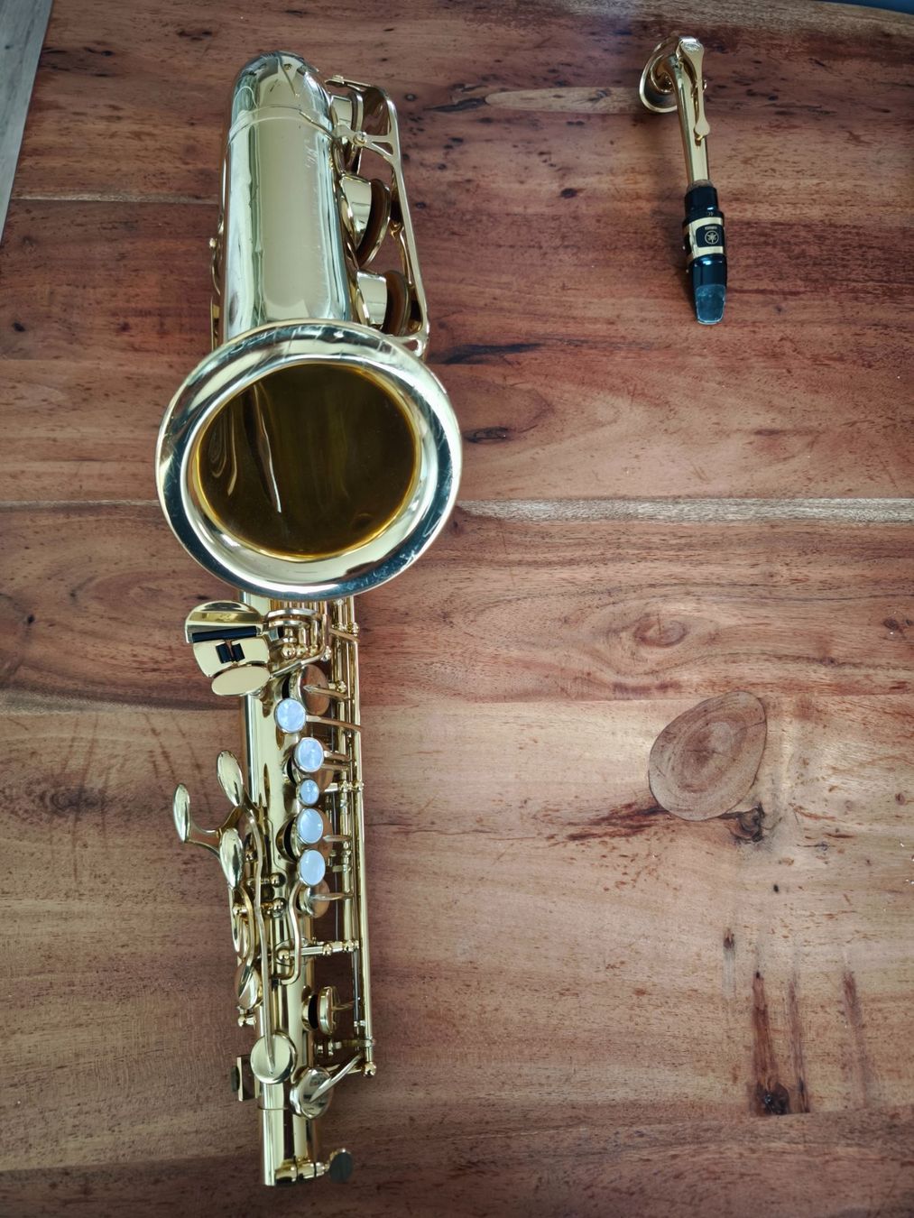 Strumenti musicali: Saxophon – Usato da Tübach venduto da shenzu 2