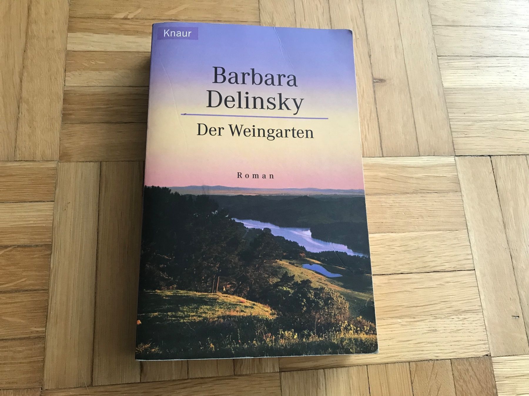 Bücher: Barbara Delinsky - Der Weingarten / Porto 3.40 – Gebraucht aus Emmenbrücke von Hathor123