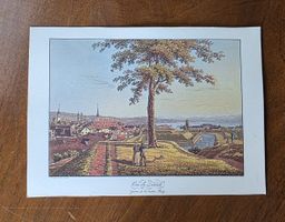 Historische Ansicht Zürich „Vue de Zurich“ kolorierte Grafik