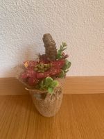 Küstlicher Weihnachtsstern