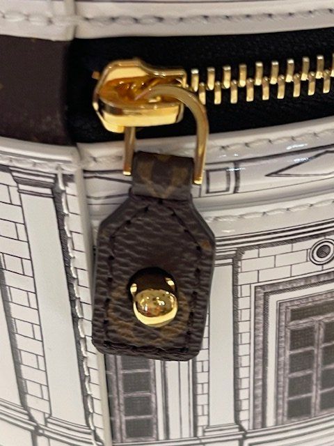 Louis Vuitton Borse: LOUIS VUITTON CANNES FORNASETTI (SAMMLERSTÜCK) – Nuovo e nell'imballaggio originale da Arlesheim venduto da cocoandco 6