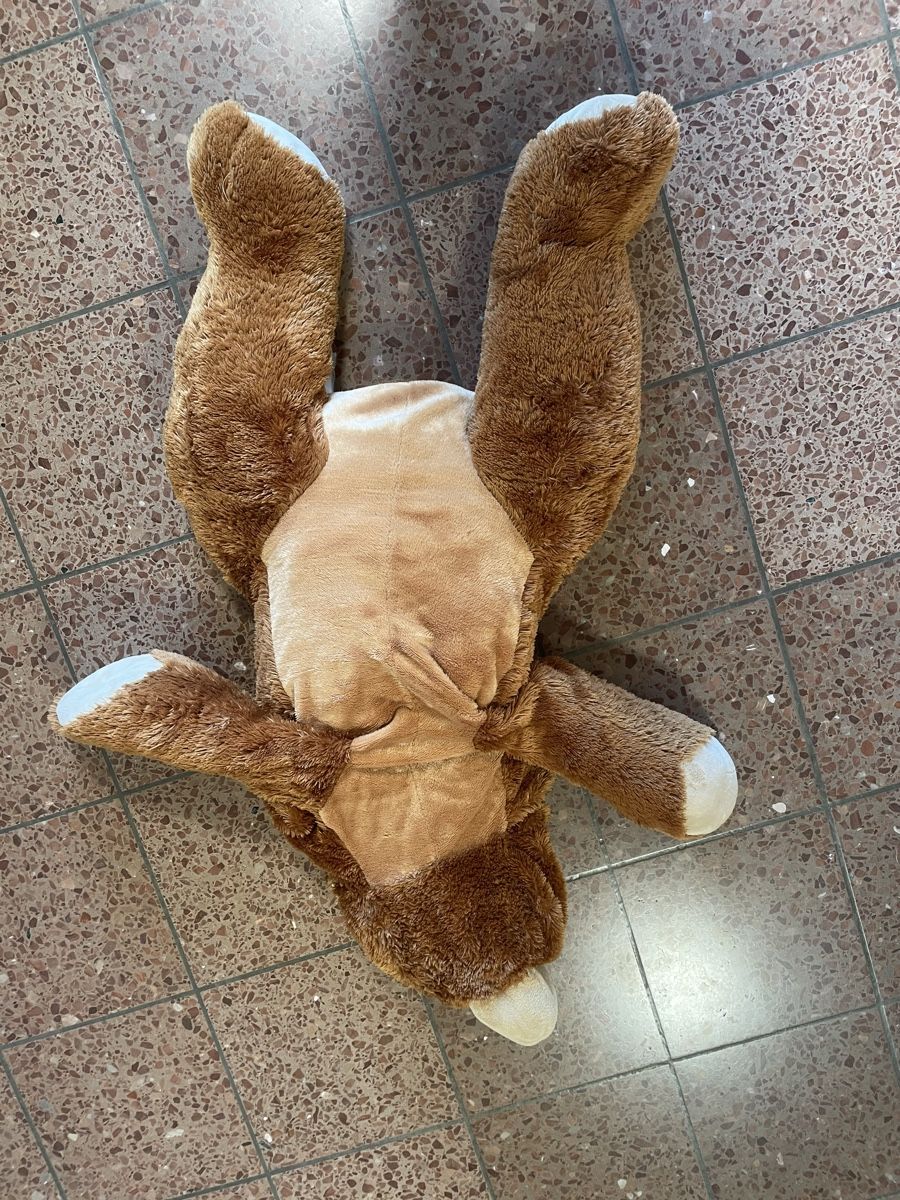Spielzeuge: Grosser Teddybär – Gebraucht aus Siebnen von Jenny202 1