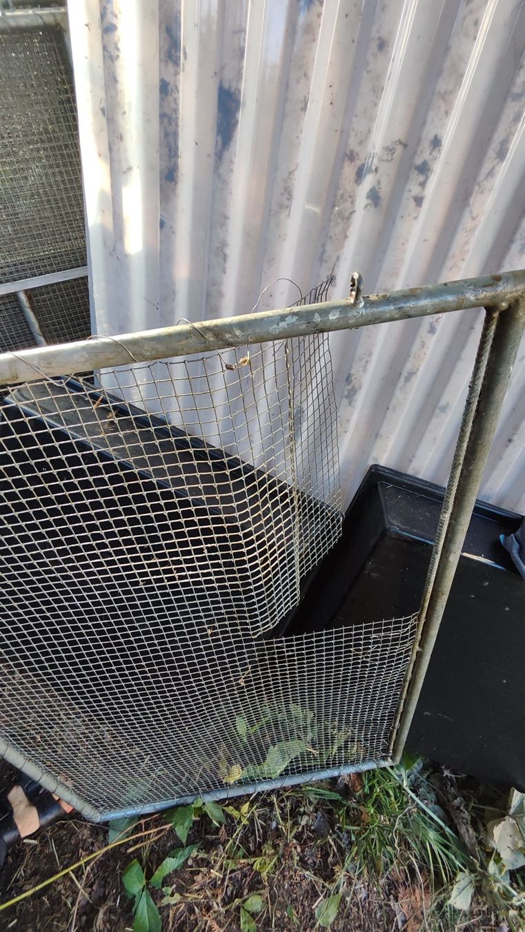 Gabbie, trasporto & Sicurezza: Freiluftgehege Kaninchen – Usato da Zürich venduto da mollscho 2