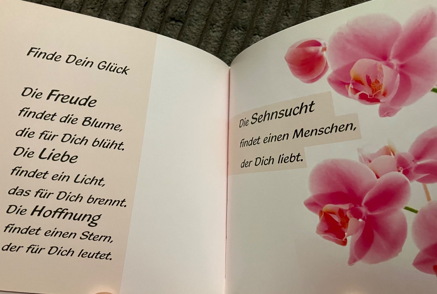 Libri: Büchli: Zum Geburtstag – Usato da Oberrüti venduto da Jomaru 3