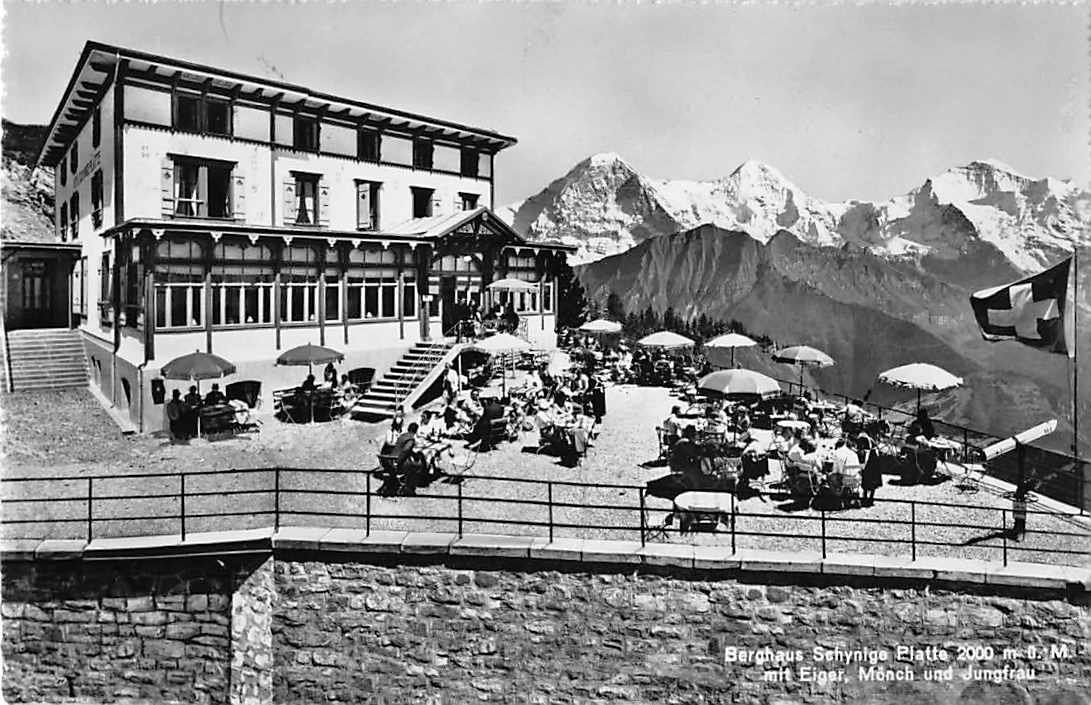 Cartoline postali: GRUSS aus SCHYNIGE PLATTE - alte BERNER Ansichtskarte – Usato da Winterthur venduto da SchatzchischtliWinti