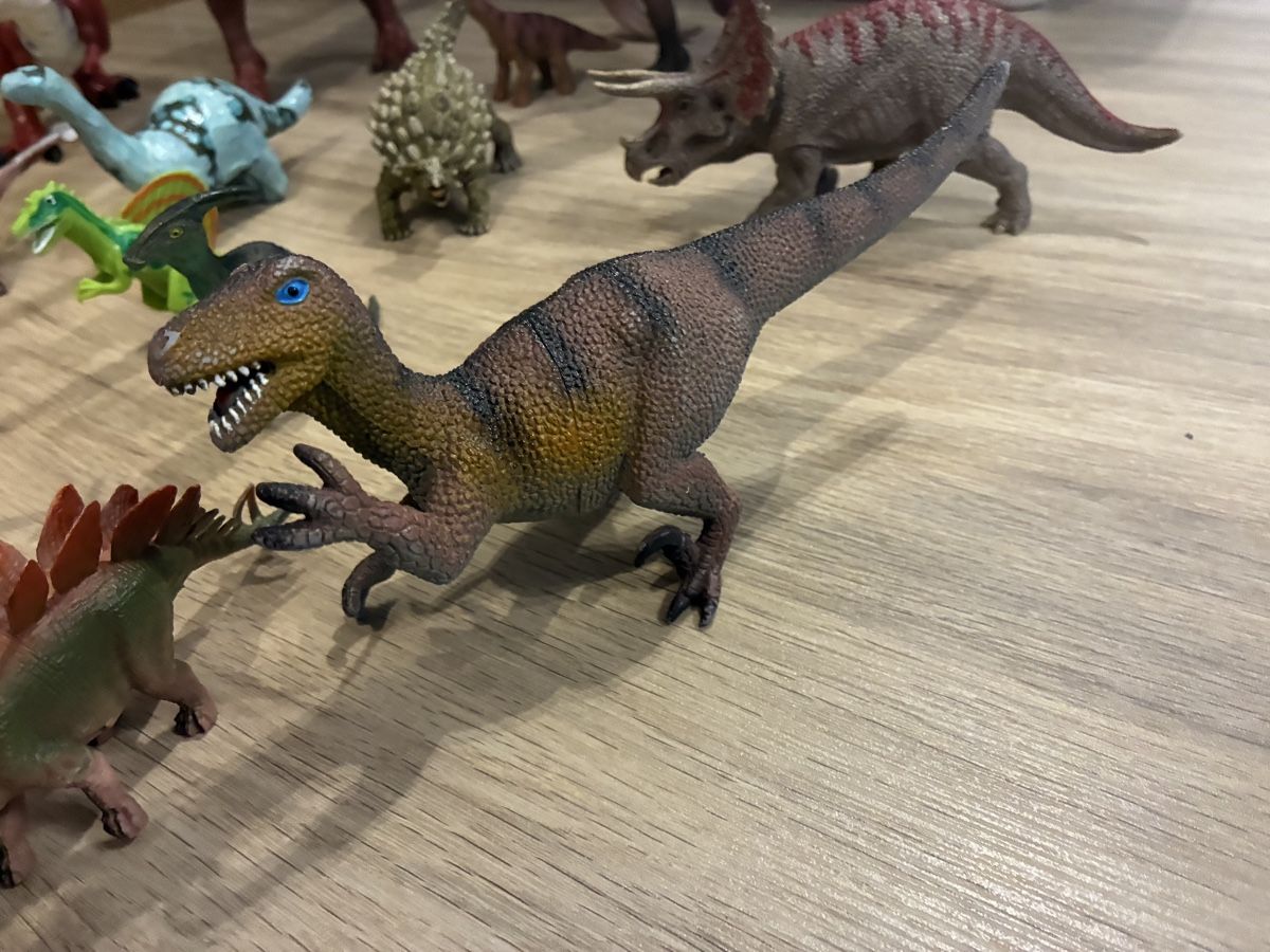 Giocattoli: Dinosaurier-Figuren Set, 20 Stück – Usato da Mitlödi venduto da meyer-sabrina 8