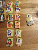 lot de 260 paninis 